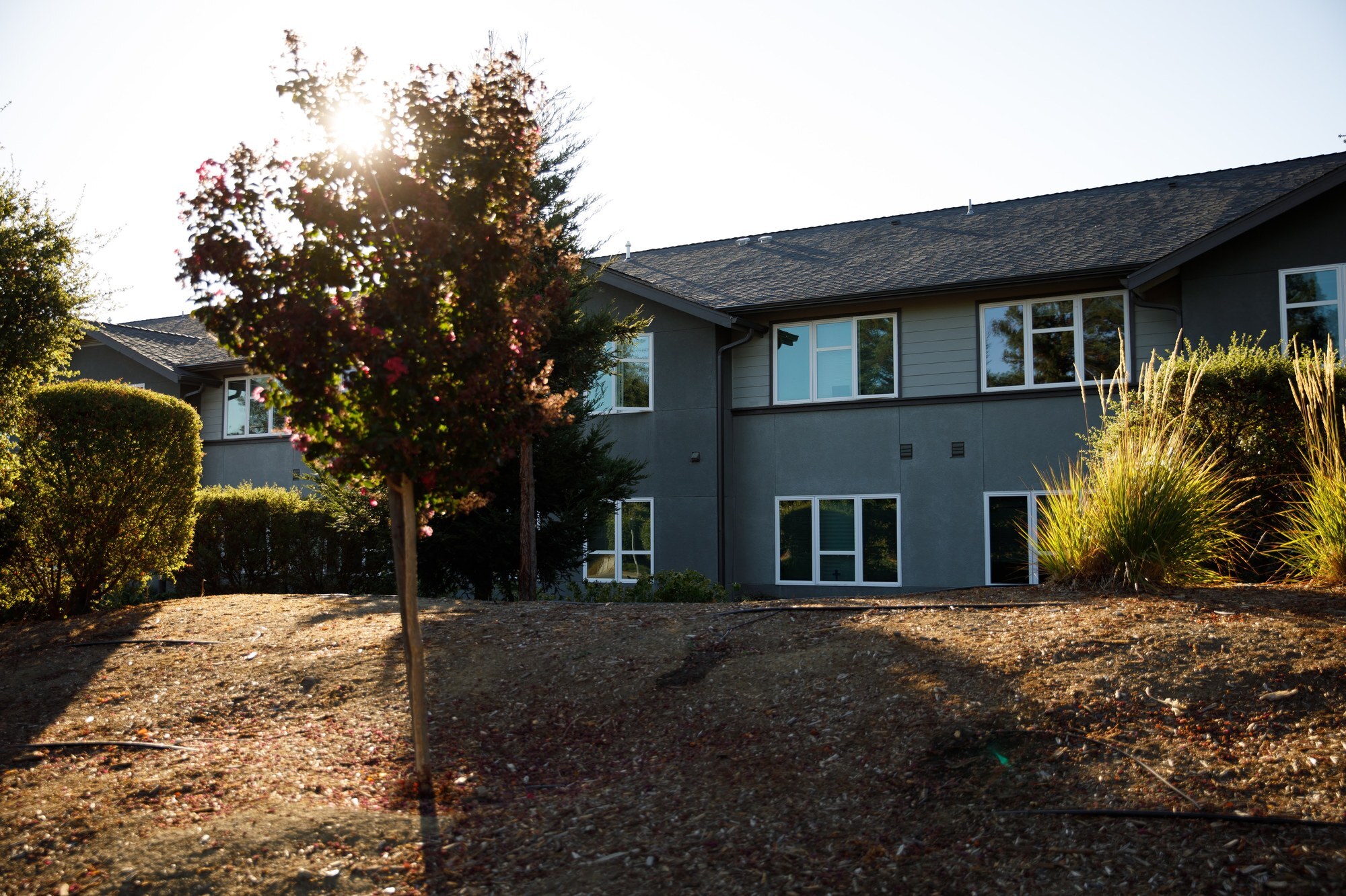 Vine Ridge community exterior in warm sunlight